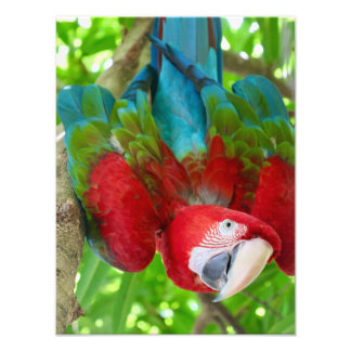 Impression Photo Me regardez-vous ? 