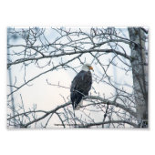 Impression Photo mécontent (Devant)