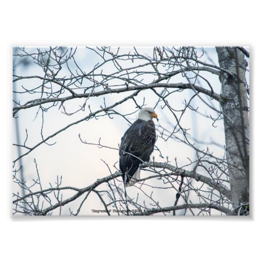 Impression Photo mécontent (Devant)