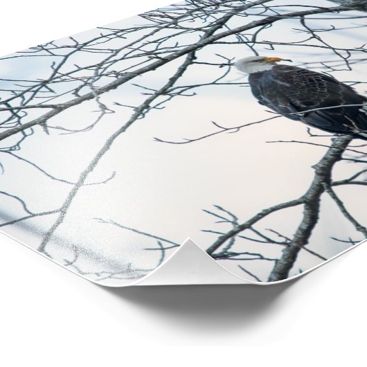 Impression Photo mécontent (Coin)