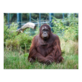 Impression Photo Méditation (Devant)