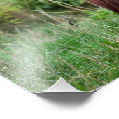 Impression Photo Méditation (Coin)