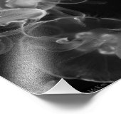 Impression Photo Méduse sous-marine (Coin)