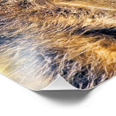 IMPRESSION PHOTO MEERKAT (Coin)