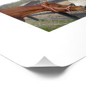 Impression Photo Meilleurs amis (Coin)