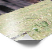 Impression Photo Mère Kangaroo avec bébé Joey dans sa poche (Coin)