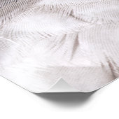 IMPRESSION PHOTO MERLIN FALCON OISEAU DE PREY (Coin)