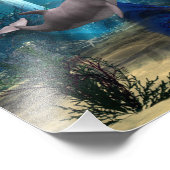 Impression Photo Mermaid et Dolphin (Coin)