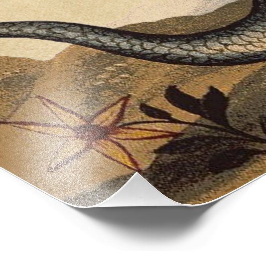 Impression Photo Merman Sun et Moon (Coin)