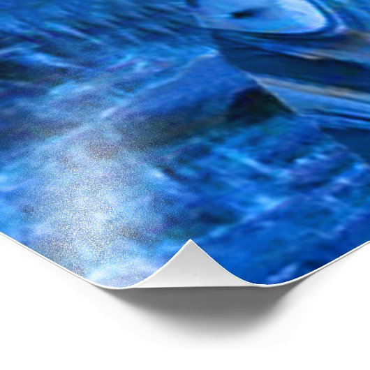 Impression Photo Métamorphose de la méduse (Coin)