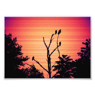 Impression Photo Meurtre de corbeaux dans un arbre mort (version co