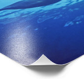 Impression Photo Mexique, Cozumel. Dauphin à col fermé, Tursiops (Coin)