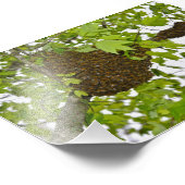 Impression Photo Miel Abeille (Coin)