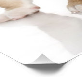 Impression Photo Mignonne Chien-taupe Chien Triste (Coin)