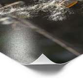 Impression Photo Milkweed (Coin)