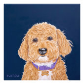 Impression Photo Mini Golden Doodle (Devant)