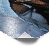 Impression Photo Miniature Dachshund regarde un Boo (Coin)