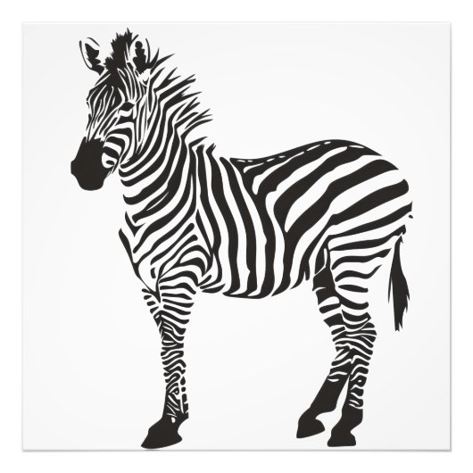 Impression Photo Minimalisme noir et blanc Zebra (Devant)