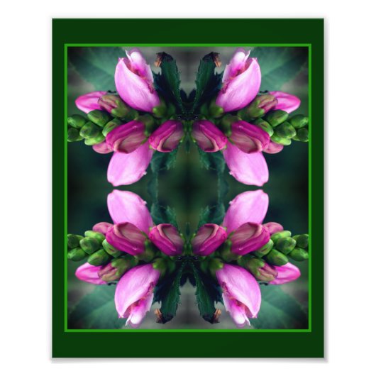 Impression Photo Miroir à fleur rose 8x10 Abstrait (Devant)
