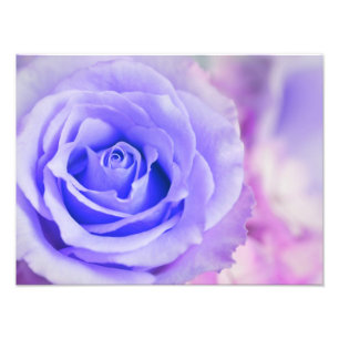 Impression Photo Modèle customisé par arrière - plan de rose de