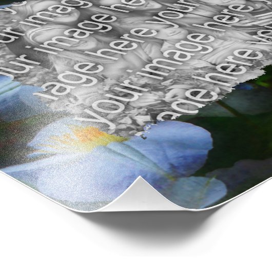 Impression Photo Modèle de cadre Clematis blanc (Coin)