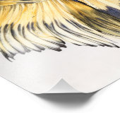 Impression Photo Moitié-lune de gaz moutarde Betta (Coin)