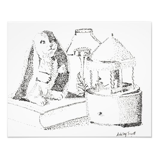 Impression Photo Moments de lapin (Devant)