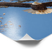 Impression Photo Momma Flies (Coin)