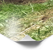 Impression Photo Mon frère (Coin)