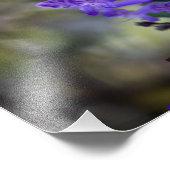 Impression Photo Mona Lavender (Coin)