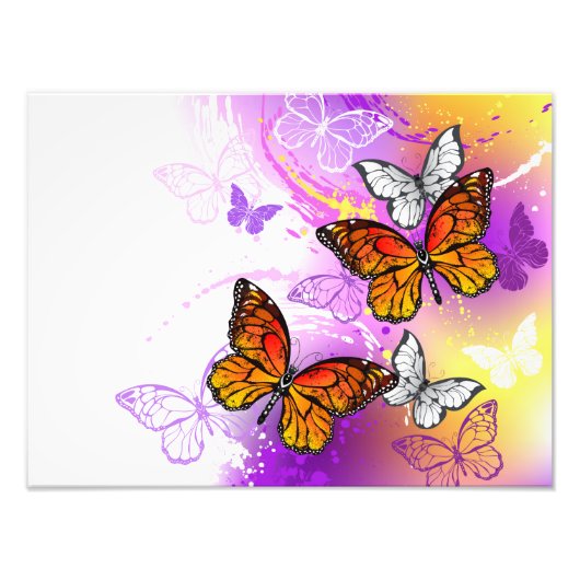 Impression Photo Monarch Butterflies on Purple Background (Devant)