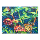 Impression Photo Monarque (Devant)