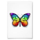 Impression Photo Monarque papillon arc-en-ciel (Devant)
