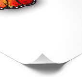 Impression Photo Monarque papillon arc-en-ciel (Coin)