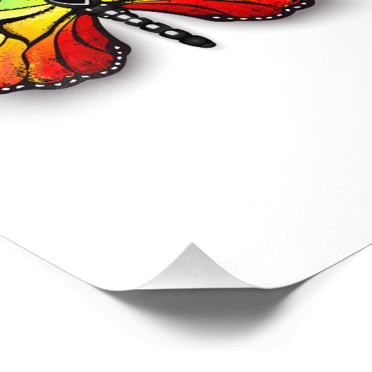 Impression Photo Monarque papillon arc-en-ciel (Coin)