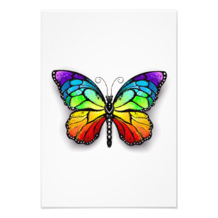 Impression Photo Monarque papillon arc-en-ciel