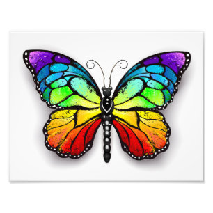 Impression Photo Monarque papillon arc-en-ciel