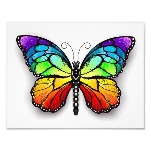 Impression Photo Monarque papillon arc-en-ciel (Devant)