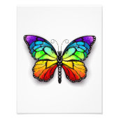 Impression Photo Monarque papillon arc-en-ciel (Devant)