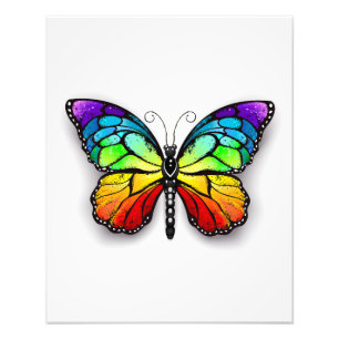 Impression Photo Monarque papillon arc-en-ciel
