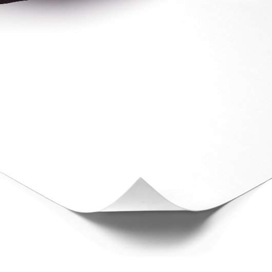 Impression Photo Monarque papillon arc-en-ciel (Coin)