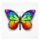 Impression Photo Monarque papillon arc-en-ciel (Devant)