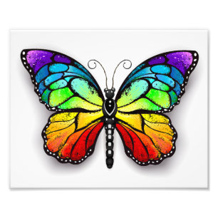 Impression Photo Monarque papillon arc-en-ciel