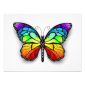 Impression Photo Monarque papillon arc-en-ciel (Devant)