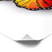 Impression Photo Monarque papillon arc-en-ciel (Coin)