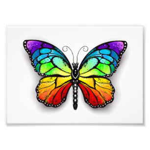 Impression Photo Monarque papillon arc-en-ciel