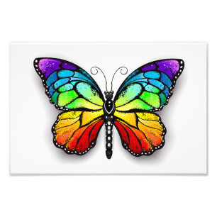 Impression Photo Monarque papillon arc-en-ciel