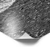 Impression Photo Monarques de la Forêt (Noir et Blanc) (Coin)