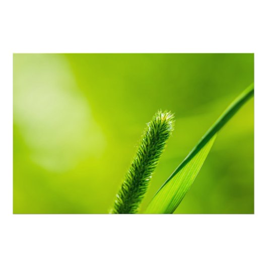 Impression Photo Monde vert (Devant)