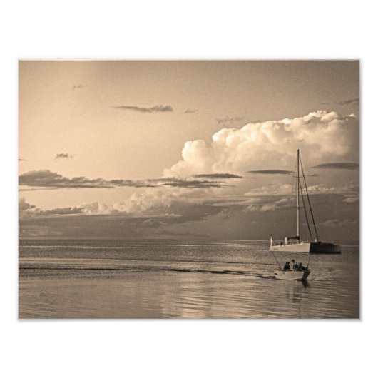 Impression Photo Monkey Mia (Devant)